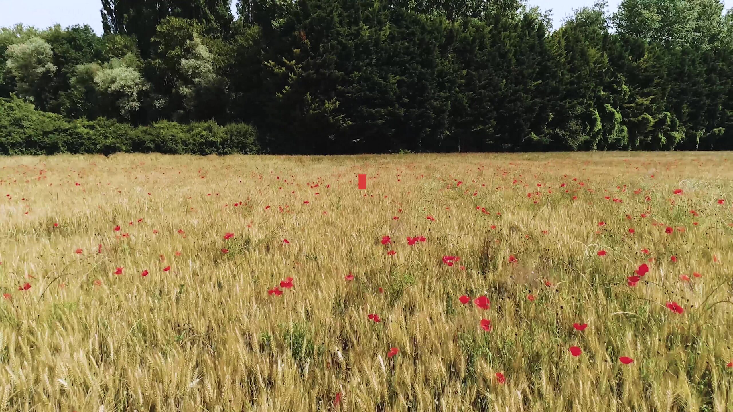 carnelle-pays-de-france-film-territoire